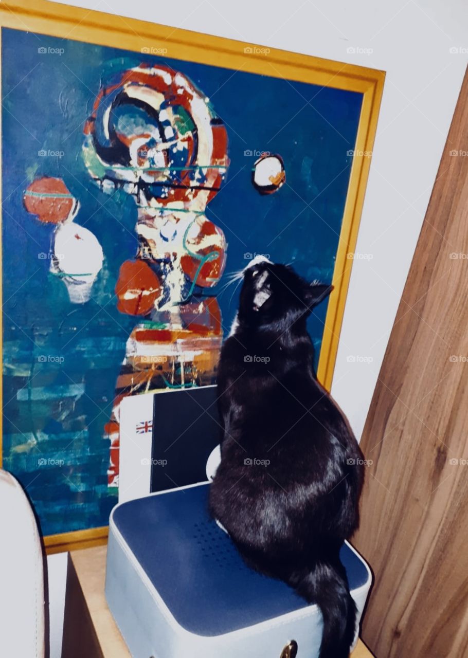 Cat looking at painting wow amazed animal likes art 