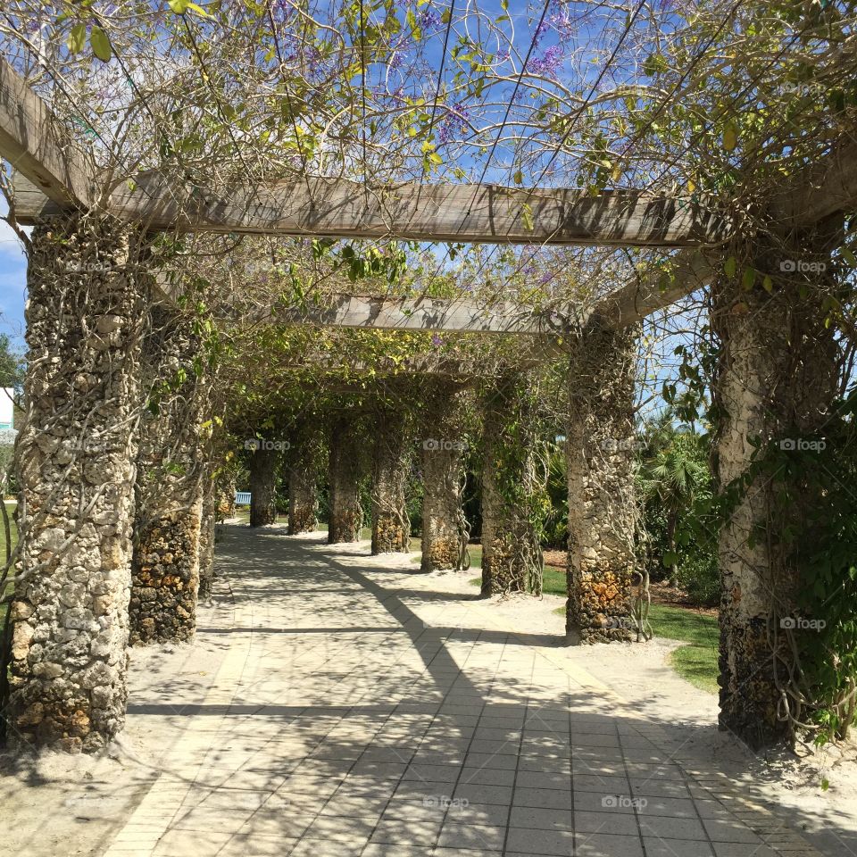 Vine covered walkway at Naples Gardens
