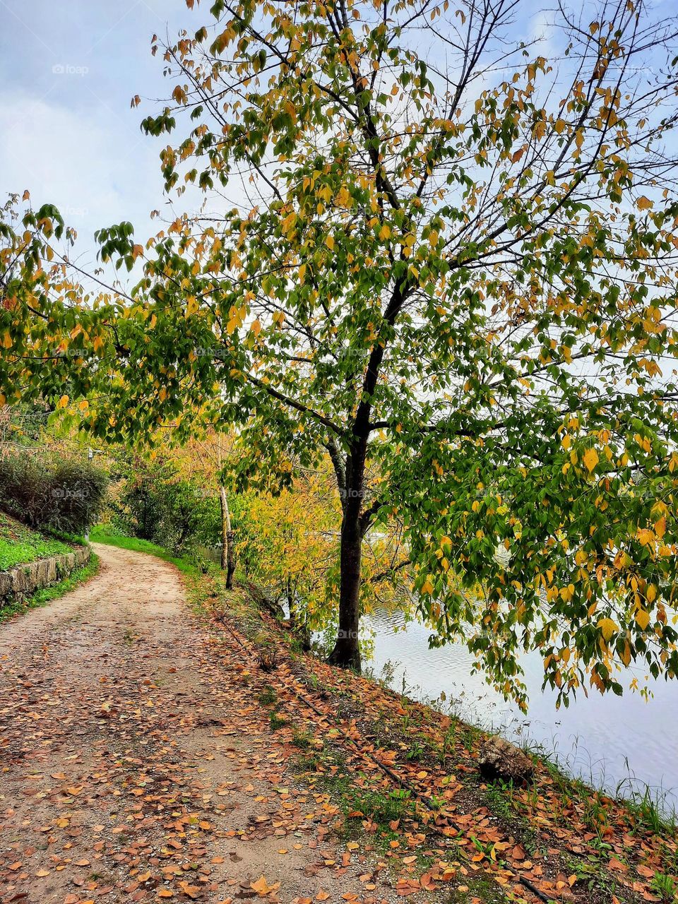 Autumn/Fall in Portugal