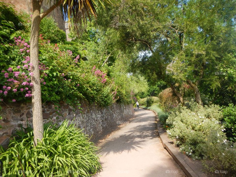 united kingdom building minehead dunster by The_Picture_man