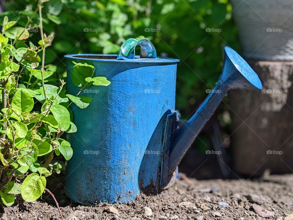 blue watering can