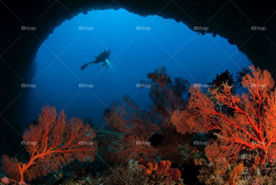 Caving. Underwater city gate to city of ambon