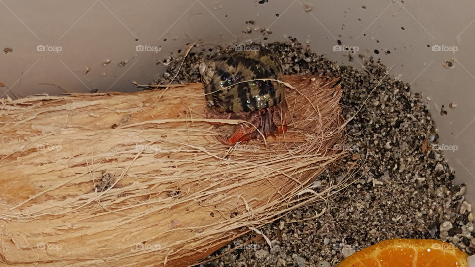 This is a lovely branch.