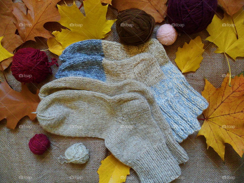 knitted warm socks and autumn leaves