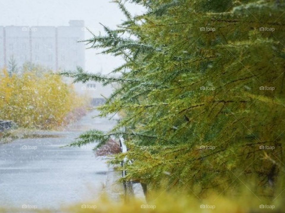 Ранее утро в городе