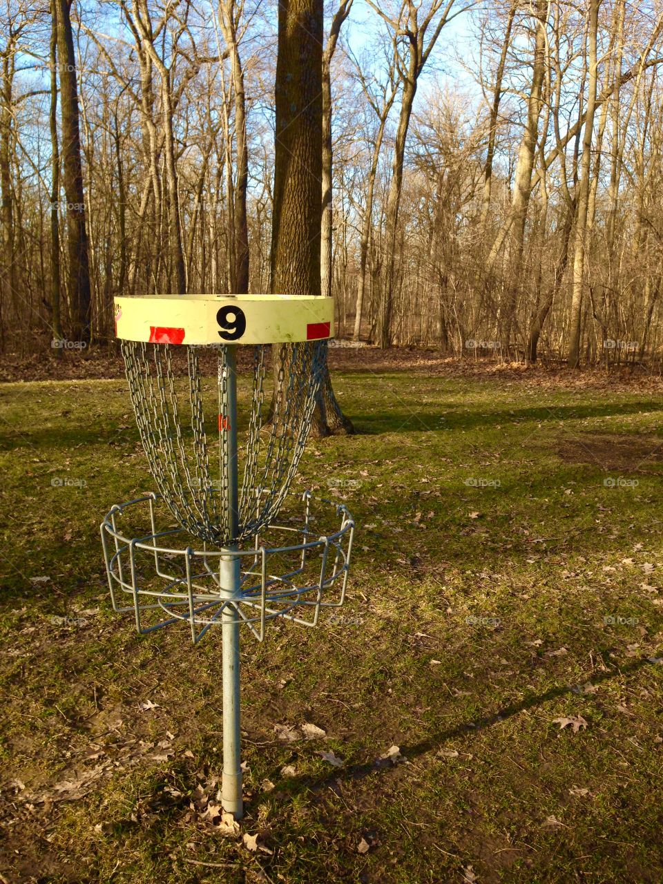 Disc Golf