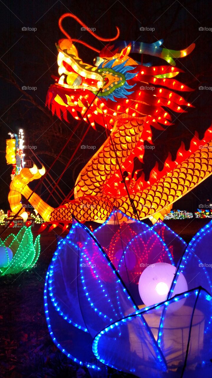 Chinese New Year dragon Lantern Festival