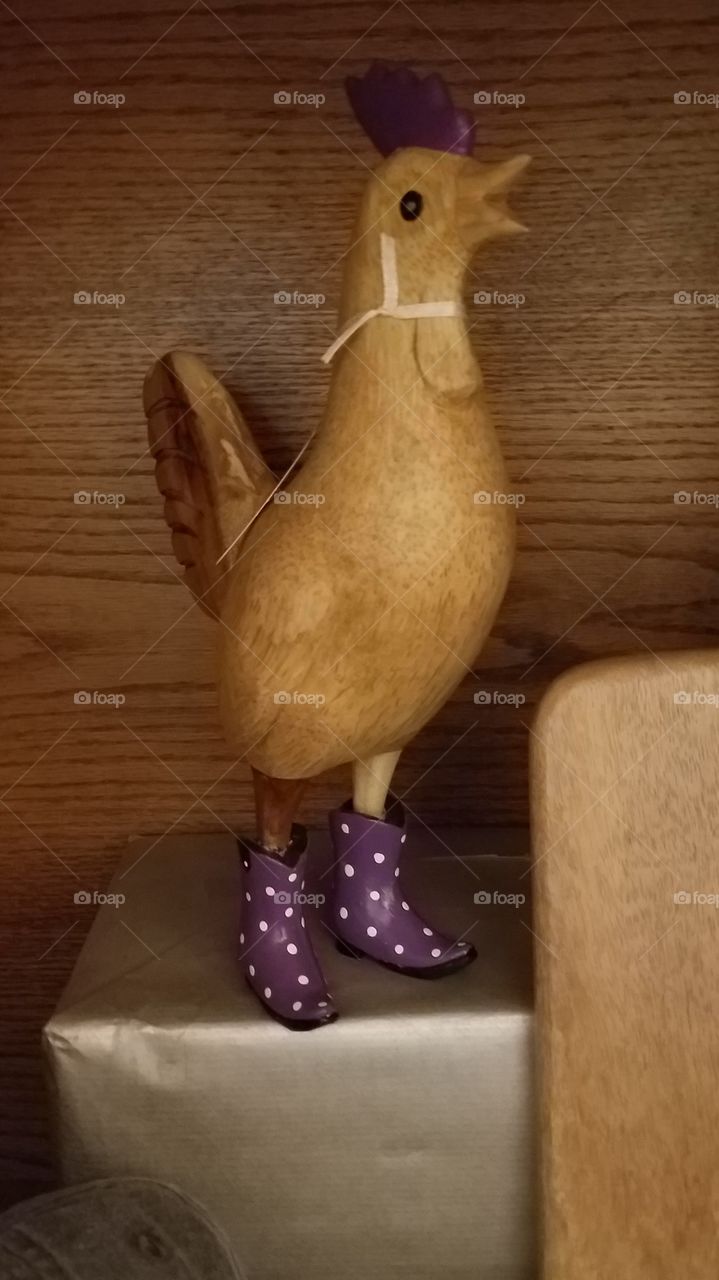 Chicken with purple books