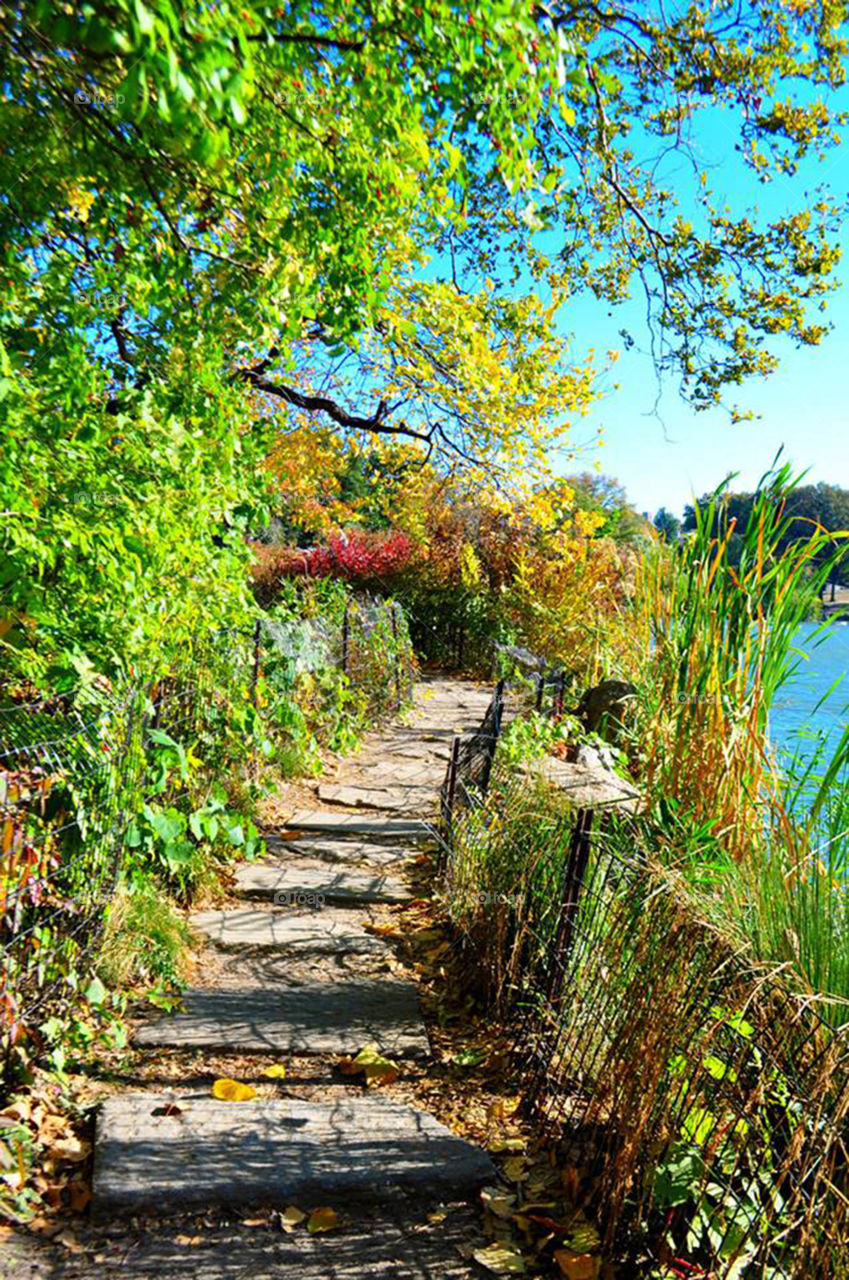 path by lake in Central Park. colorful path along lake in Central Park,  NYC
