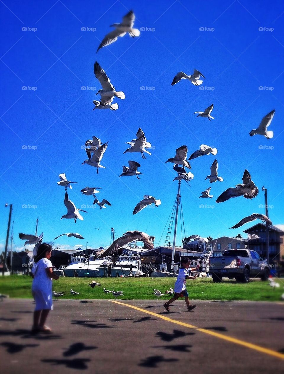 Let's try and catch one