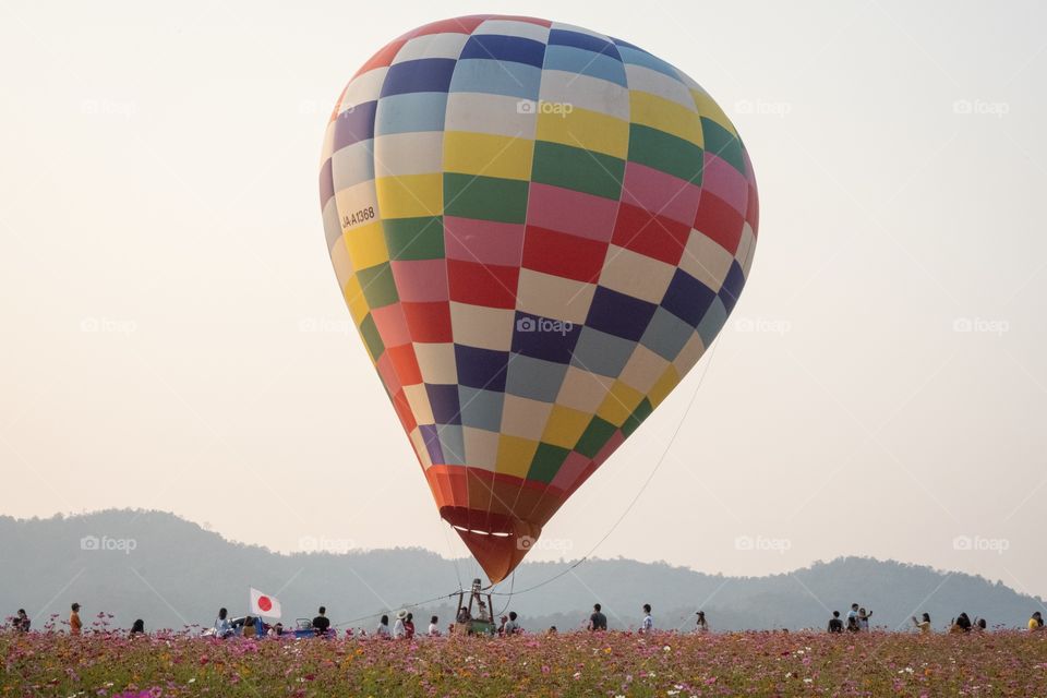 Colorful ballon in flowers field