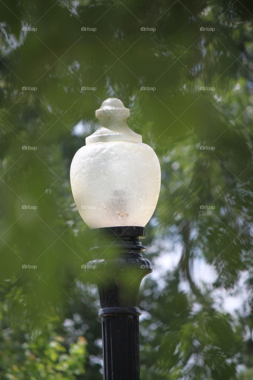 Light pole in the park