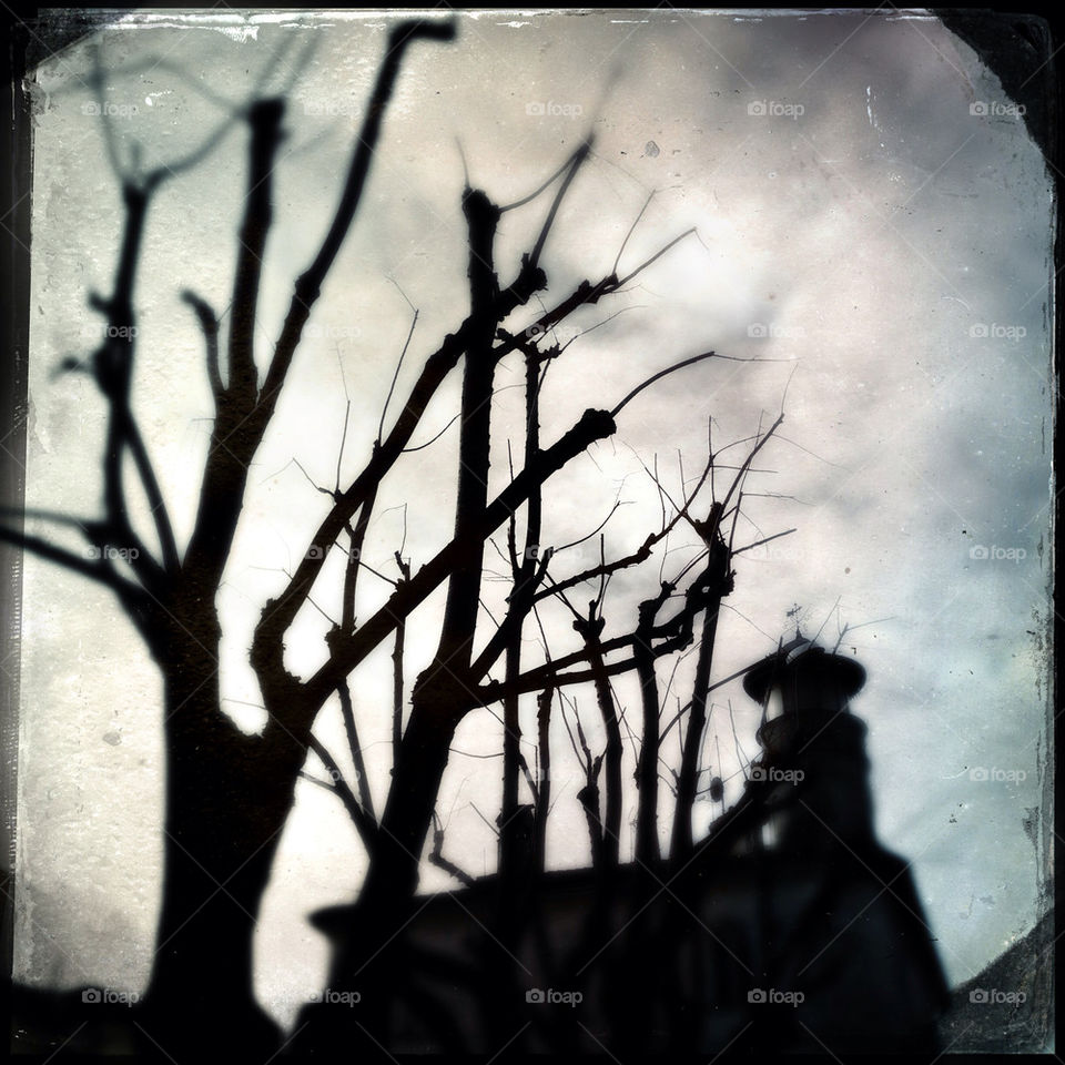 In that creepy piace