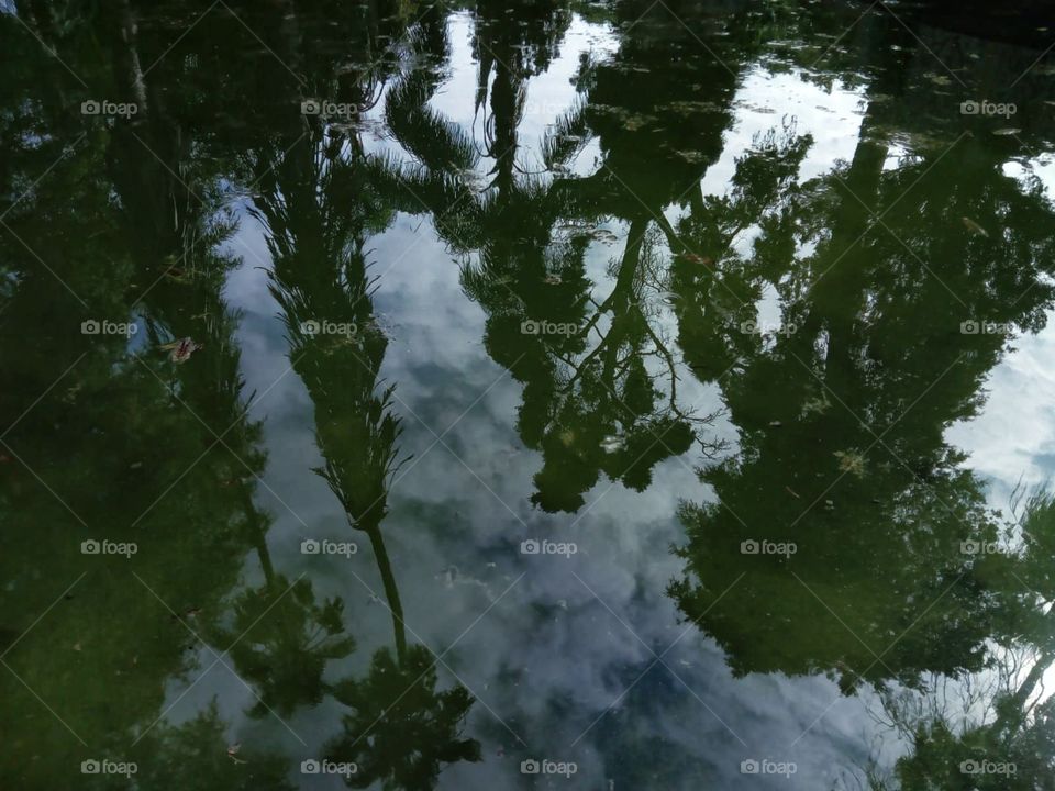 Reflections in the river