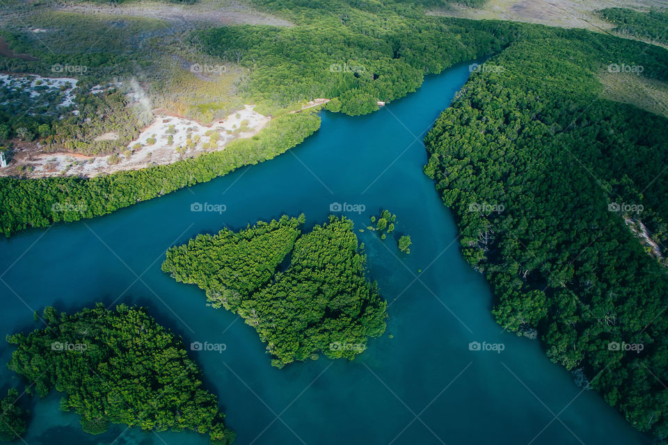 Aerial view on the river and land with green forest