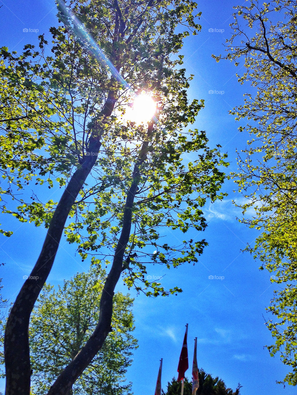 Spring in istanbul