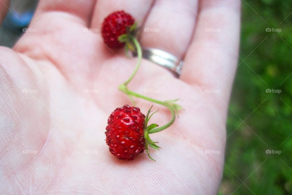 Tiny baby strawberries 