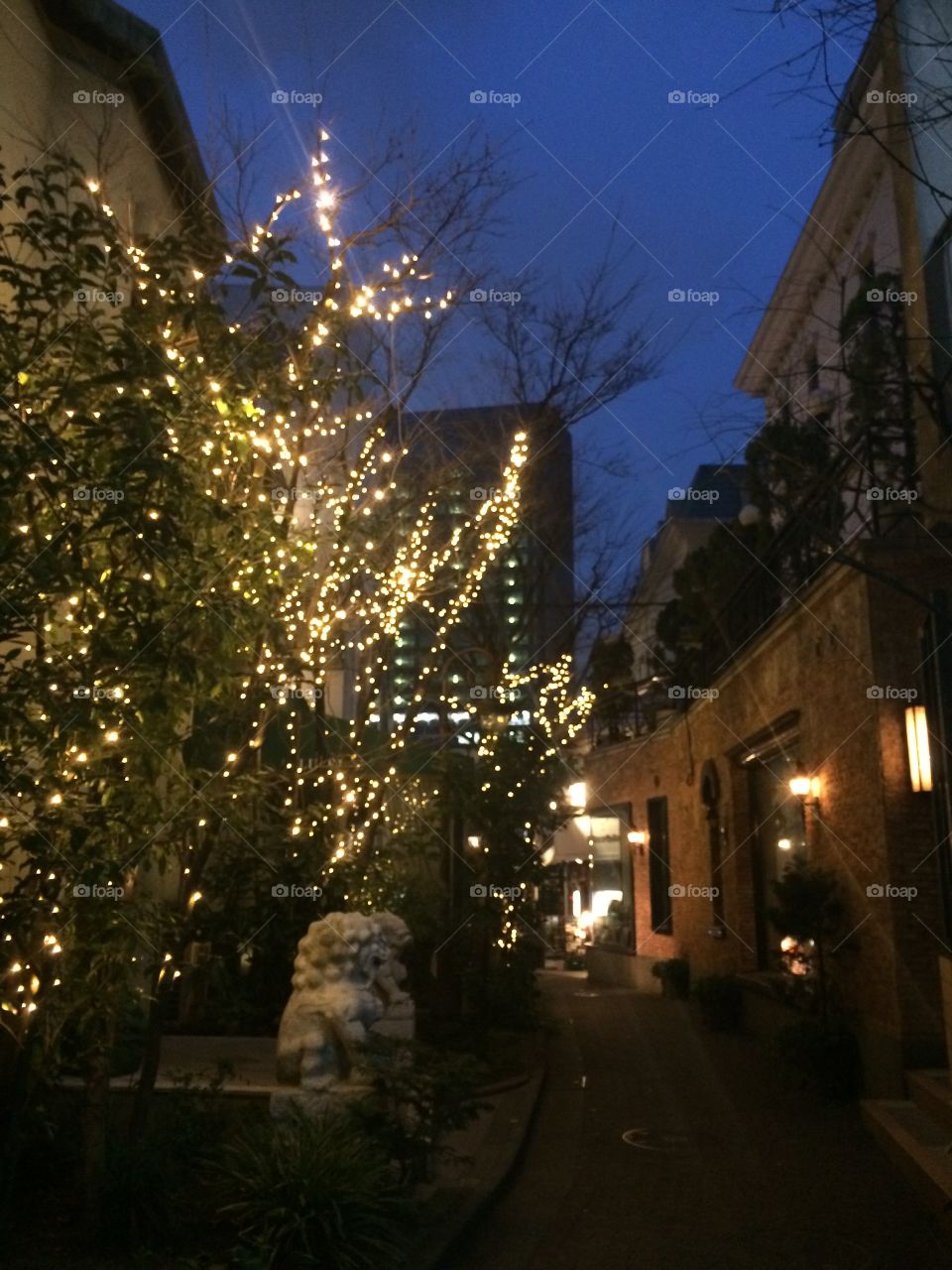 Fairy lights in the street