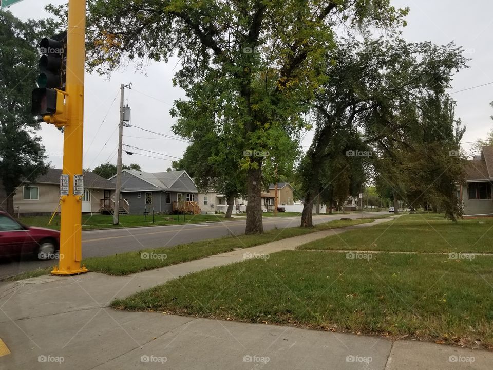 Road, Tree, No Person, Street, Guidance