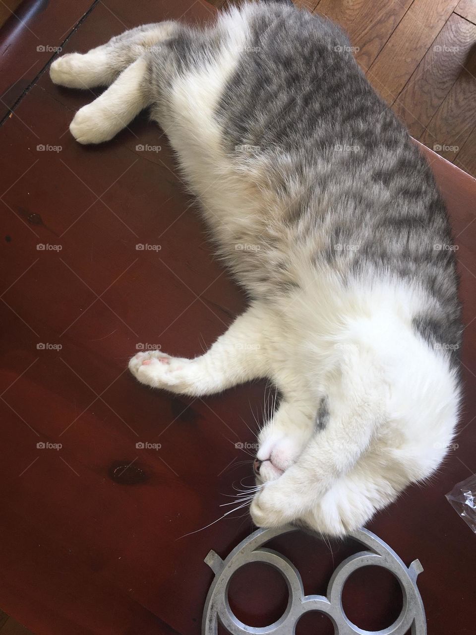 “I am sleeping : don’t disturb me please !”