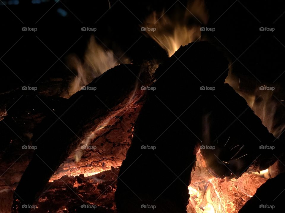 Burning logs in campfire.