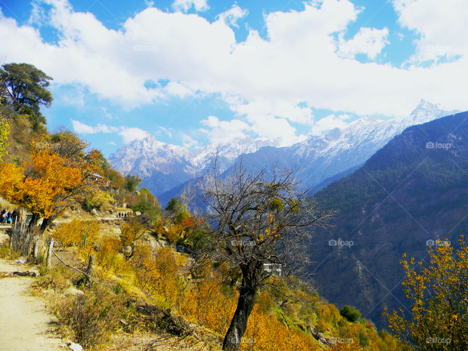 Fall, Nature, No Person, Mountain, Landscape