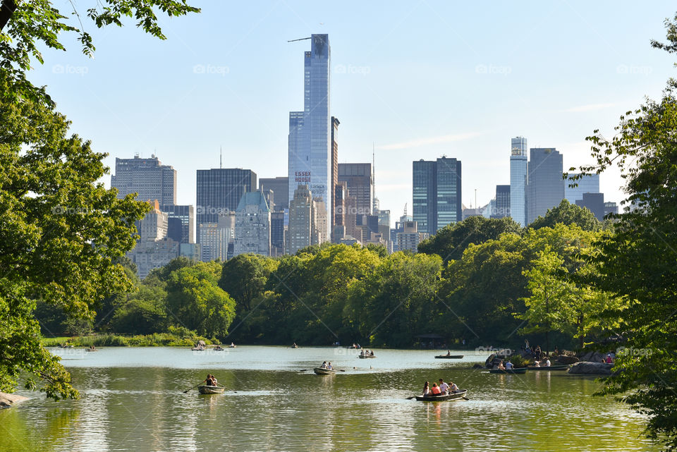 View of central park