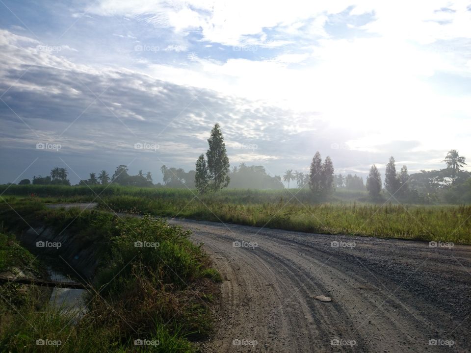 light road. way, road, freedom, abstract, some place Thailand