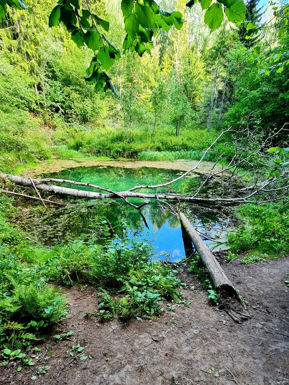 Beautiful spring - Siniallikad, Estonia