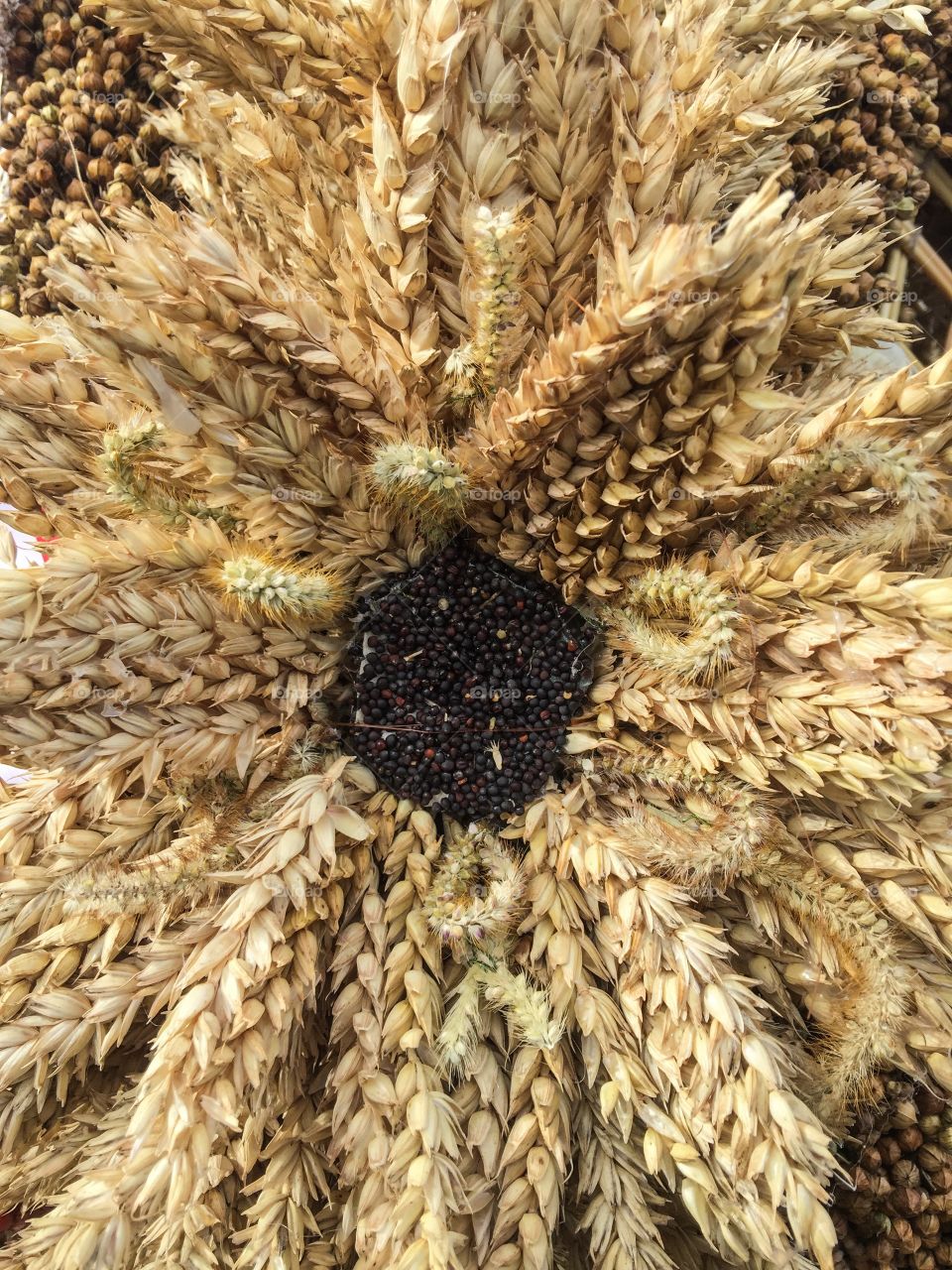 A composition of dried ears and grains. 