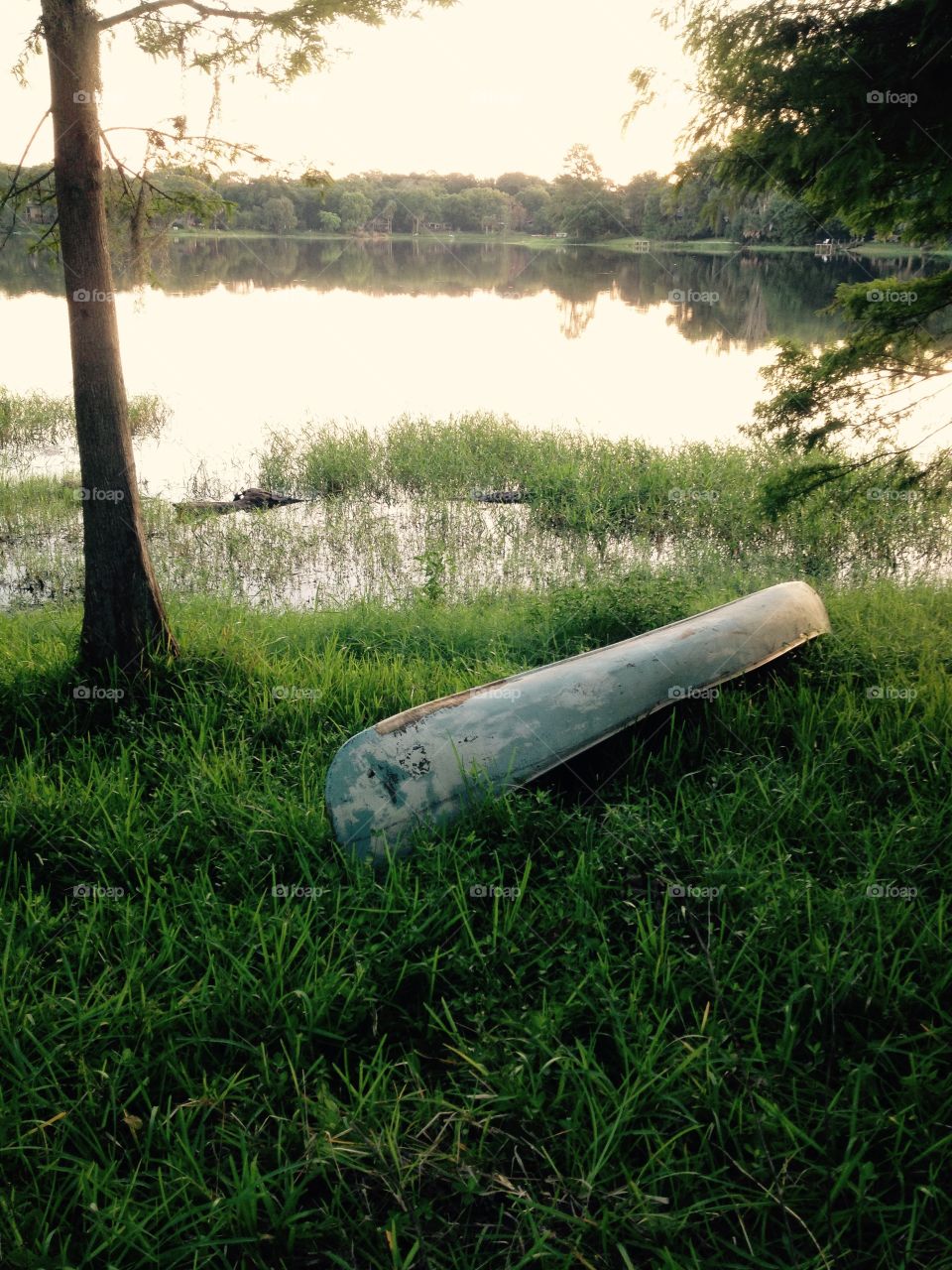 Grass, Nature, Water, Landscape, Summer