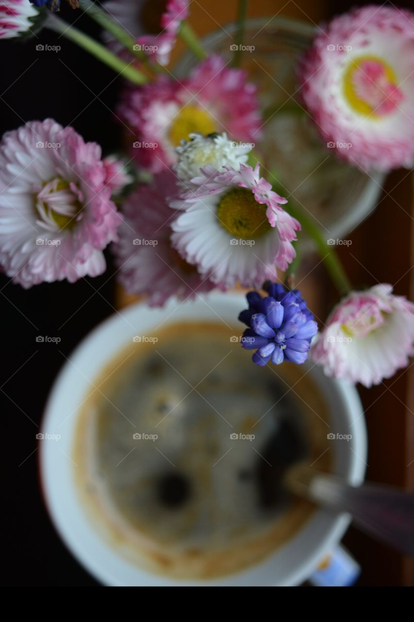 Flower, Nature, Flora, Color, No Person