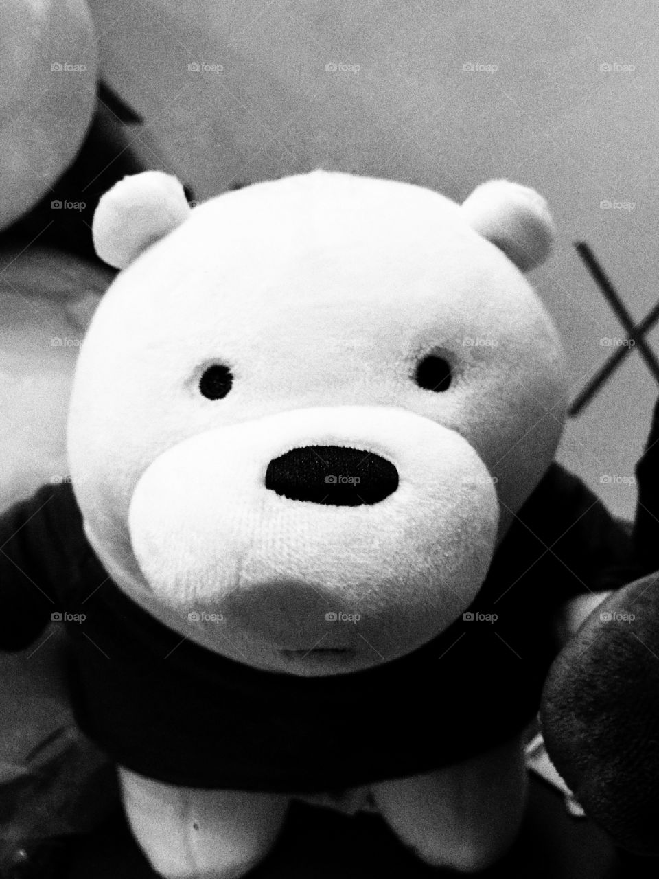 Black and white teddy bear isolated on blurred background 