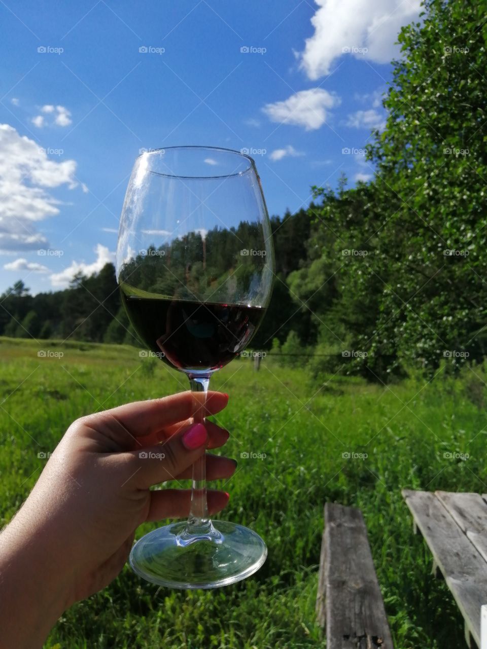 a glass of red wine in hand against the background of green forest and grass and blue sky