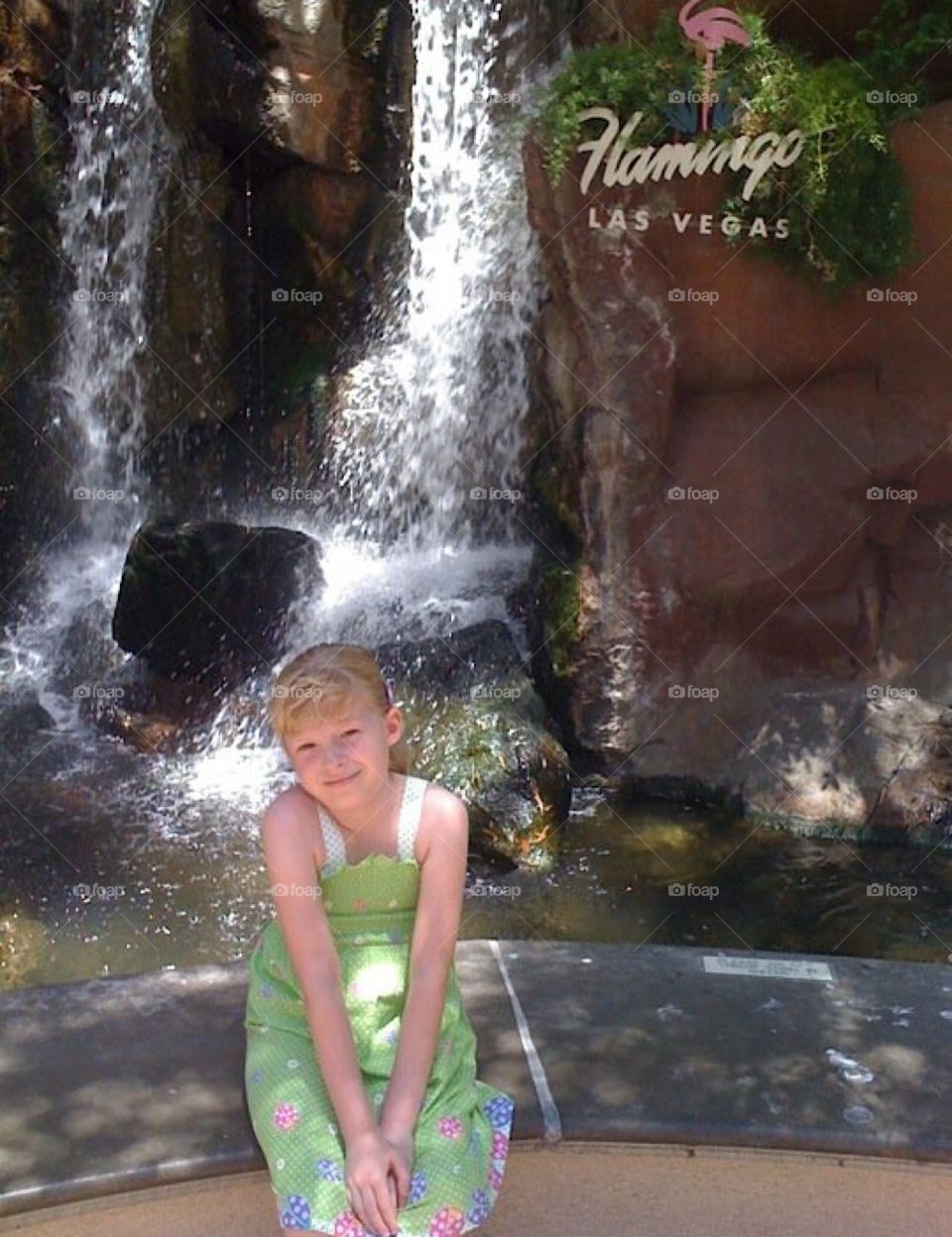 Beautiful photo at the Flamingo casino in Las Vegas in the back courtyard.