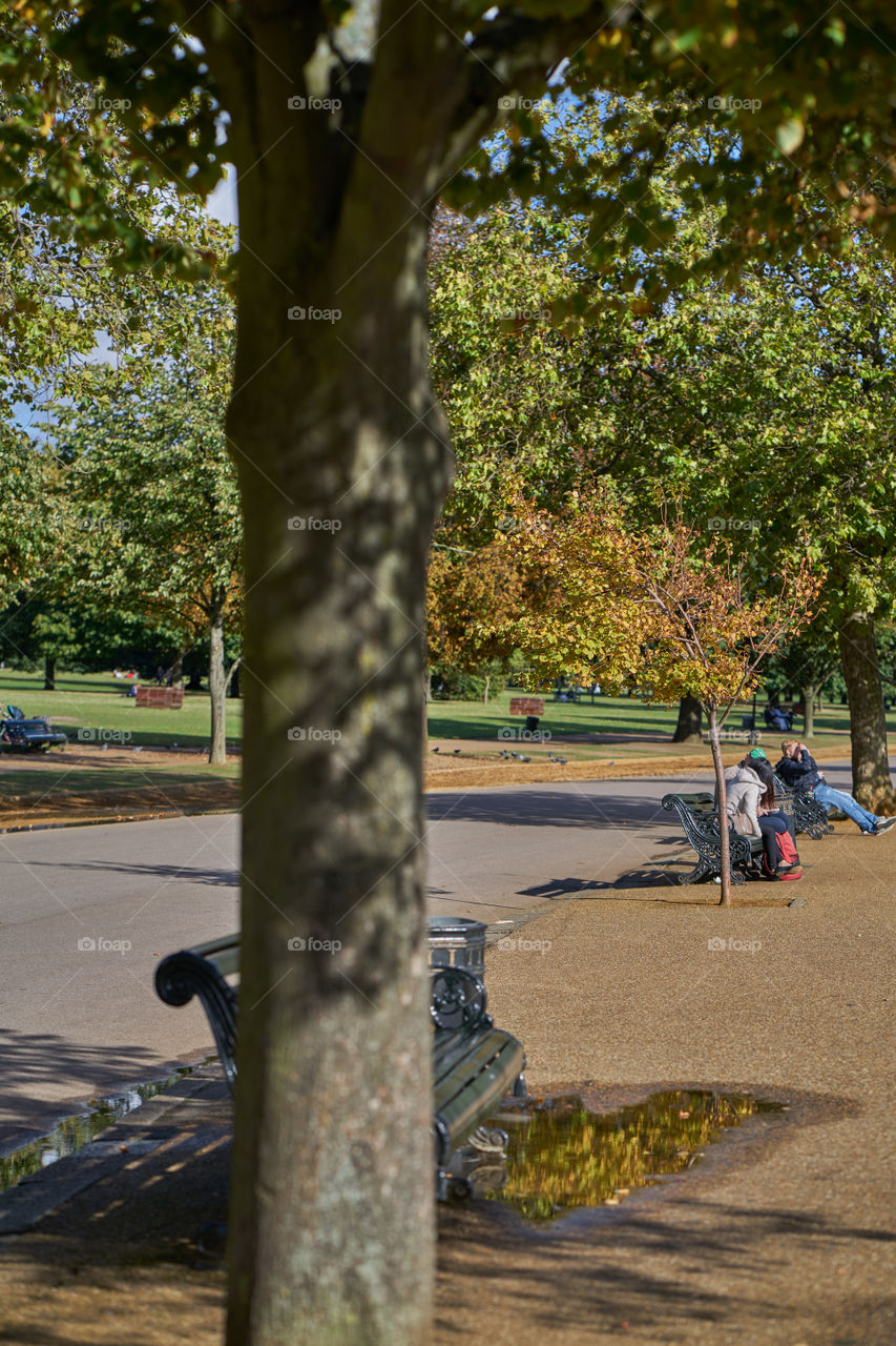 Autumn at the Park