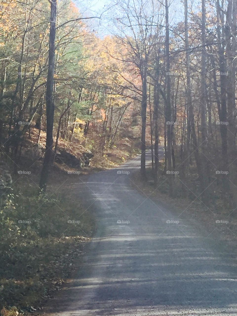 Winding rural road