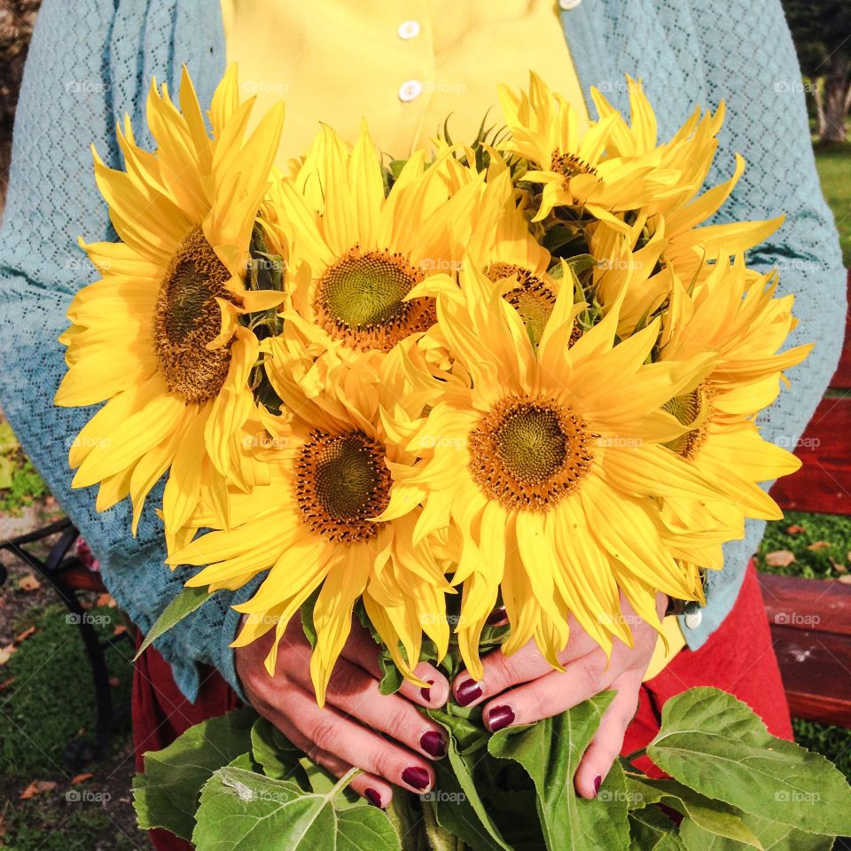holding sunflowers