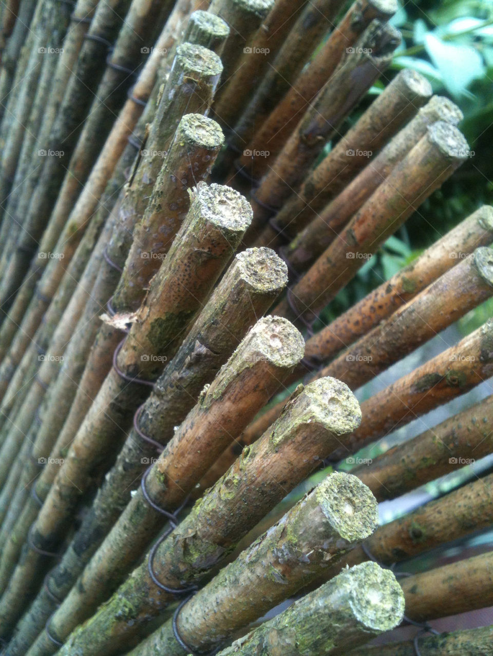garden wood rods poles by gregmanchester