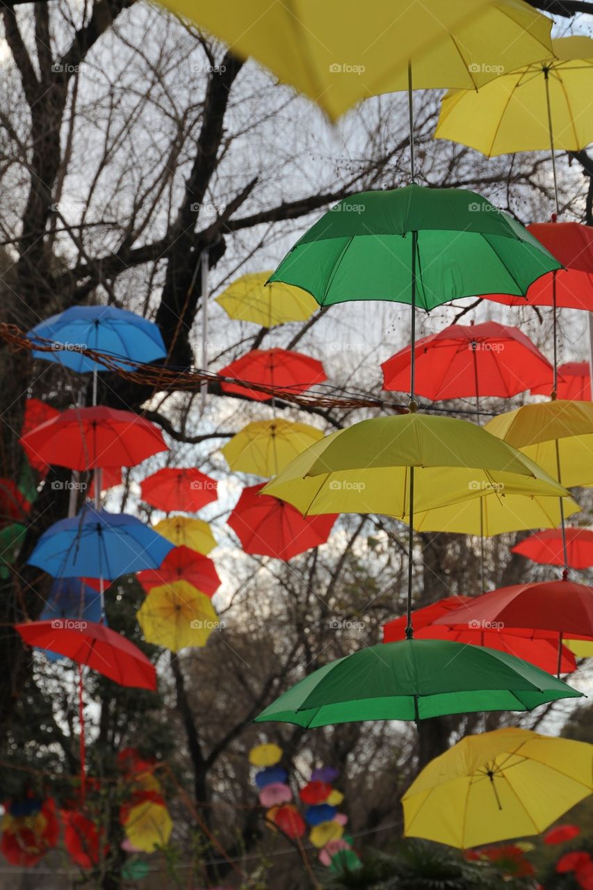 Umbrellas of kunming