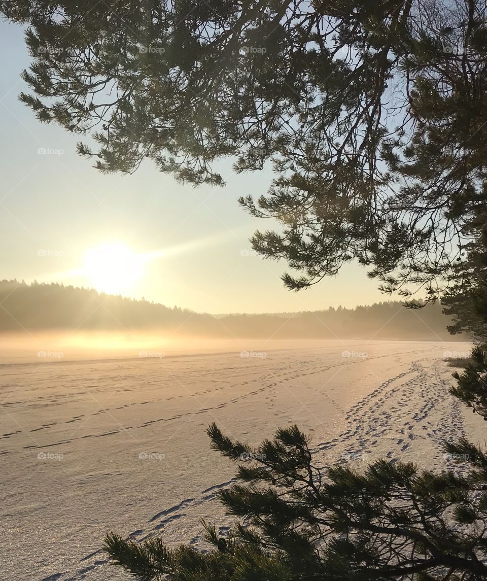 Frozen lake