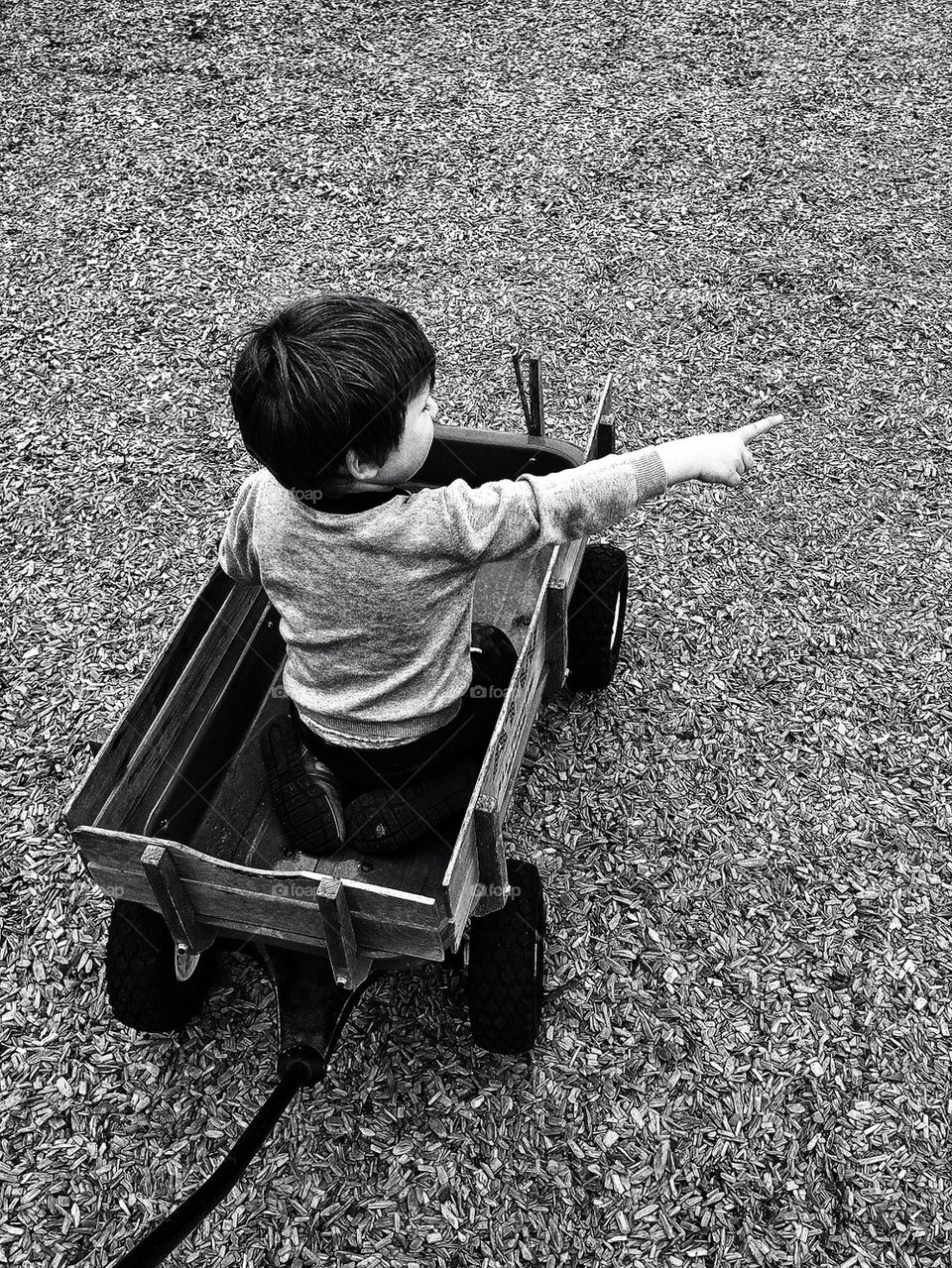 Toddler in a wagon