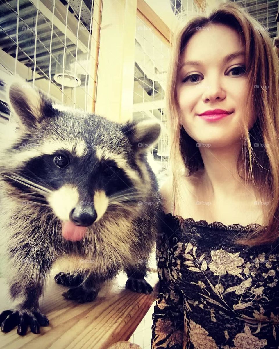 My friend racoon