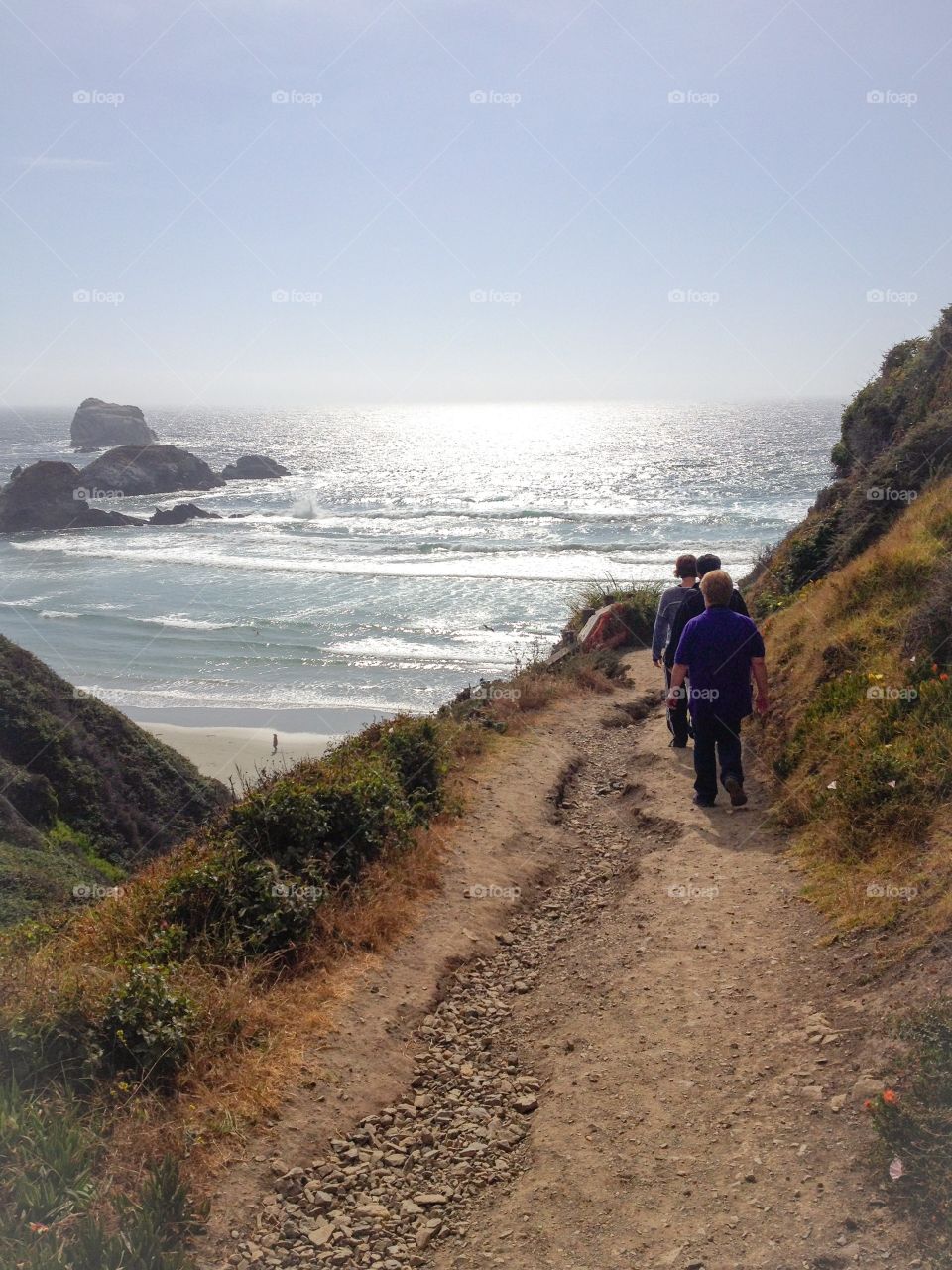 Hiking Through Big Sur