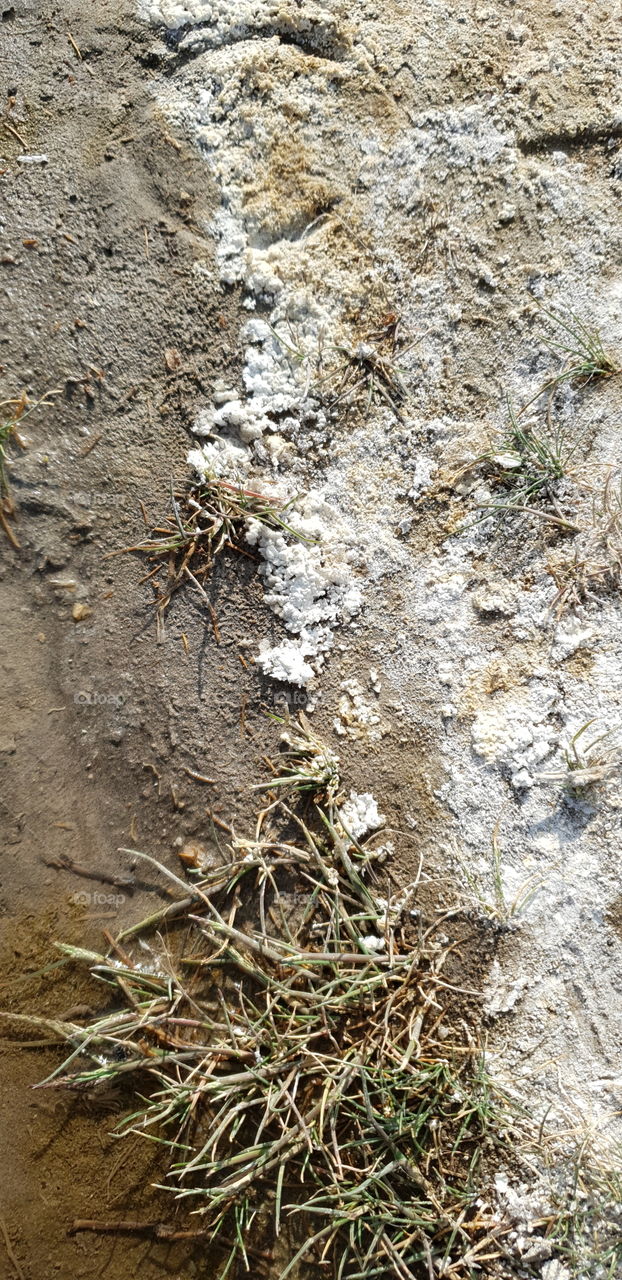 foto de la sal que queda del agua que brota naturalmente, sacada en el cerro michacheo. zapala-neuquen