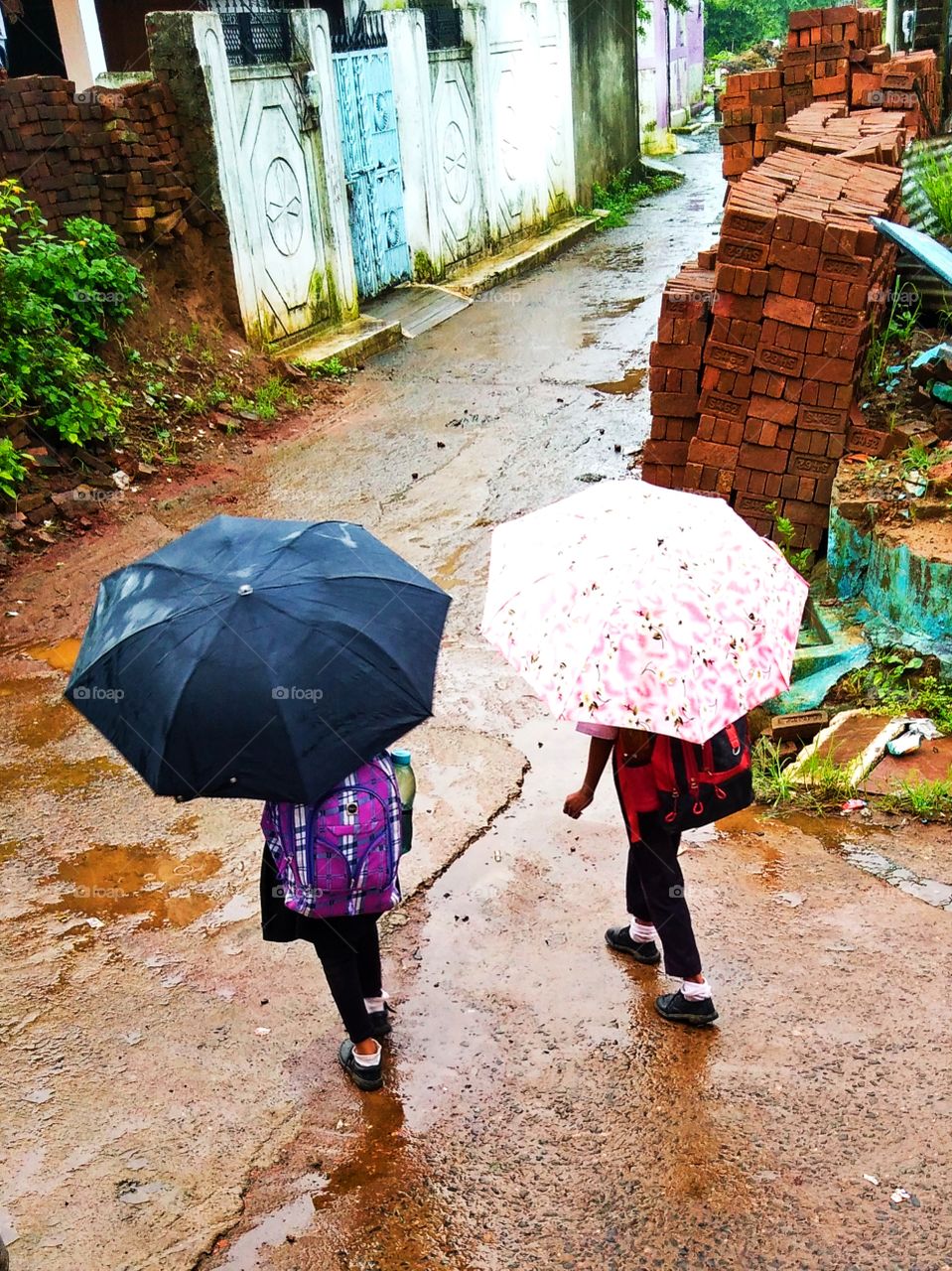 Children go to school with umbrellas during rainy days
