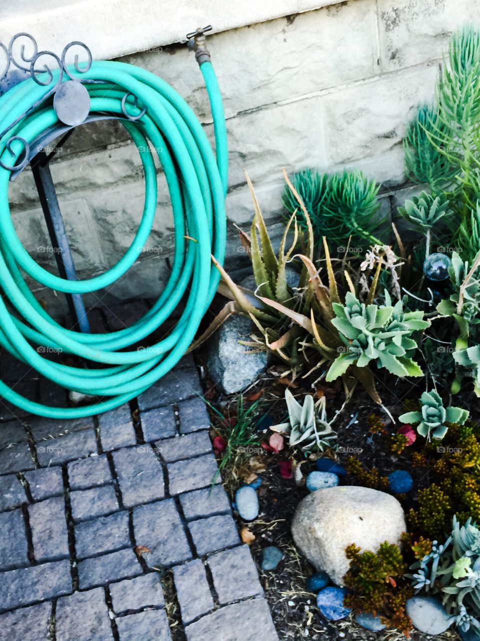 Garden hose 