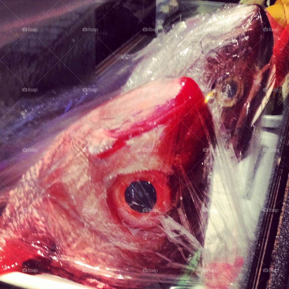 Fish heads