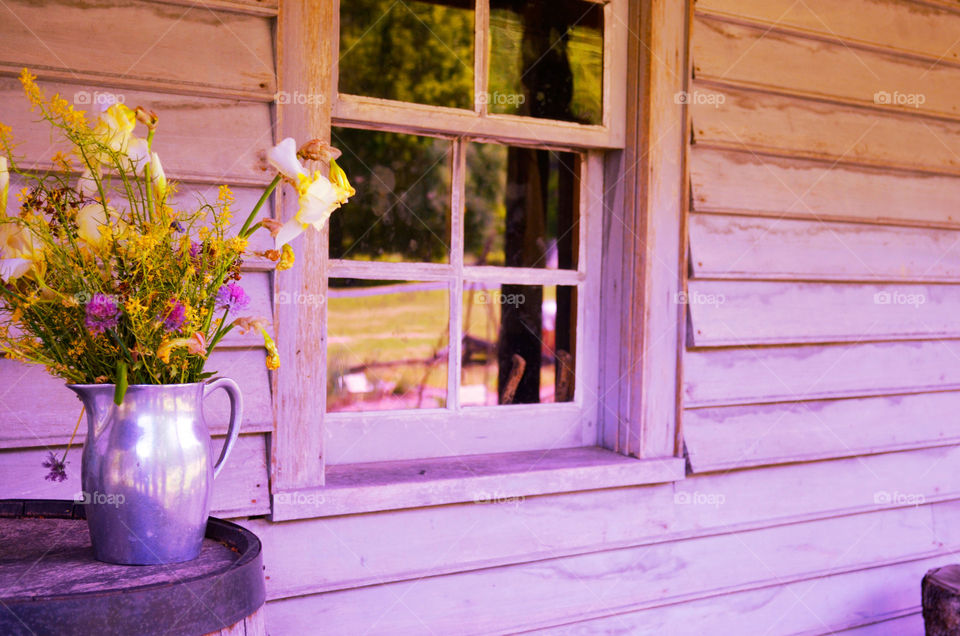 Take the Nostalgic Way Home ( Series )