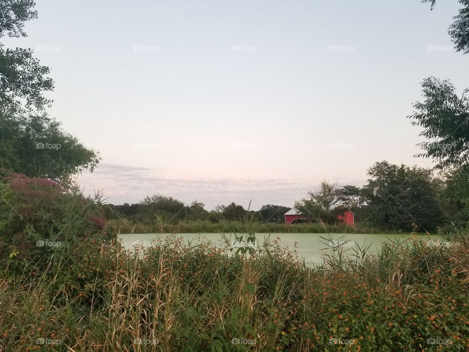 prairie pond and barn